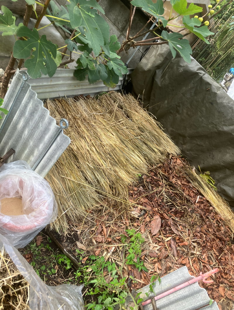 自家製堆肥